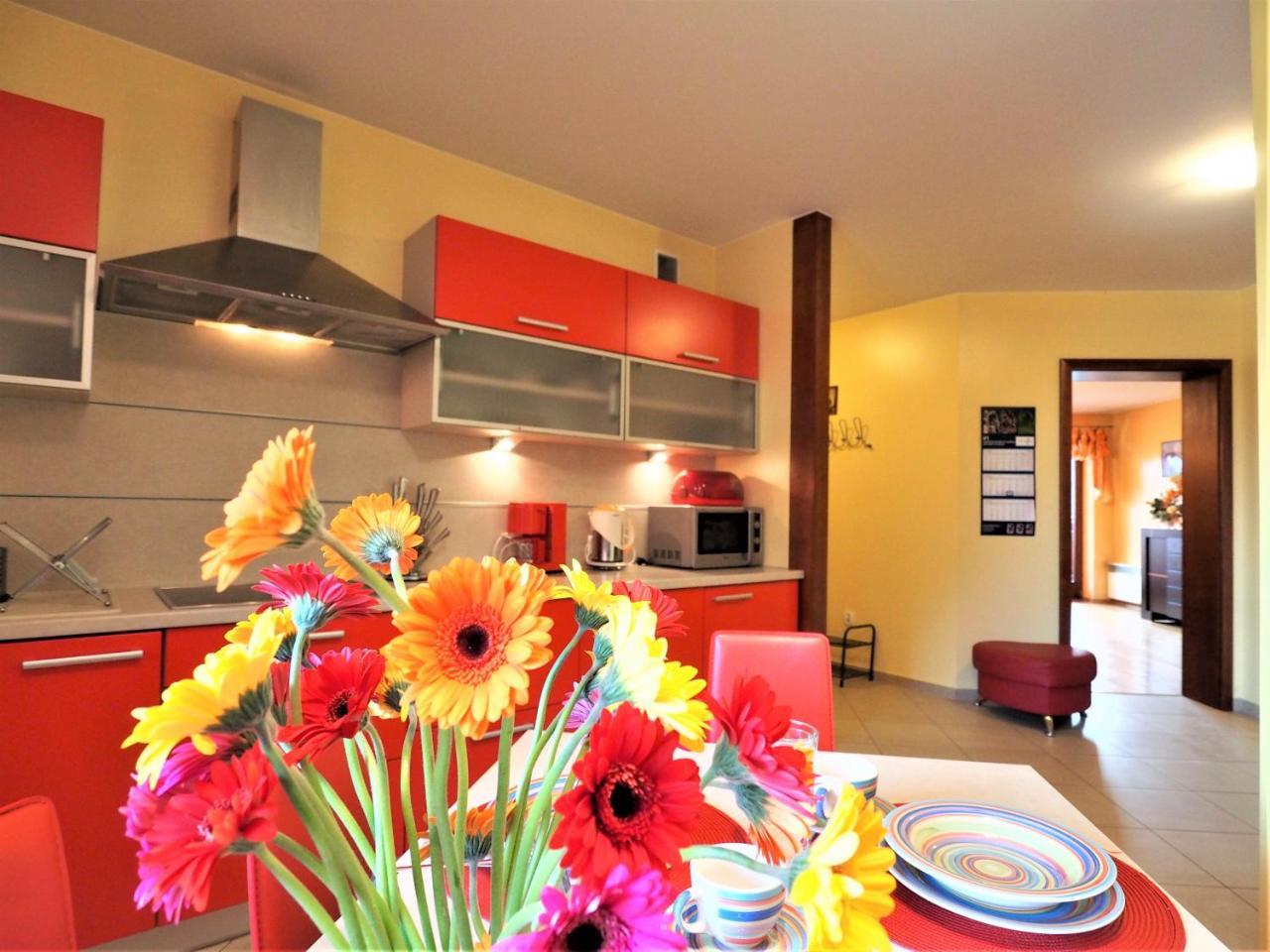 شقة زاكوباني  في Apartament Widokowy Maki المظهر الخارجي الصورة
